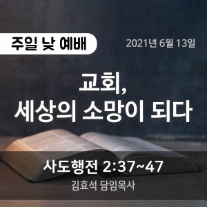 교회, 세상의 소망이 되다