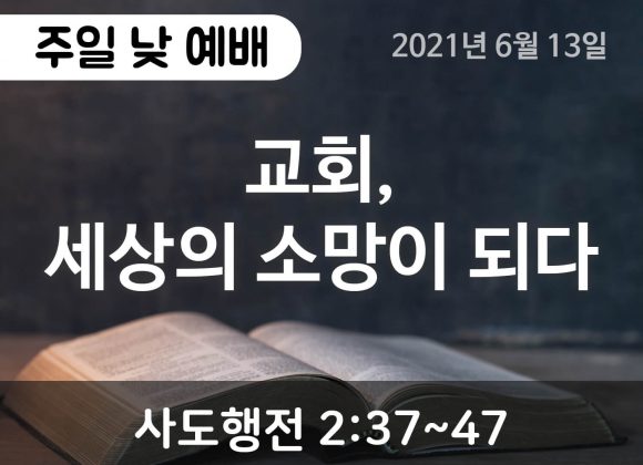 교회, 세상의 소망이 되다